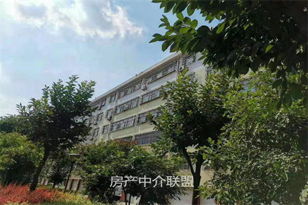 明城小学路东永康佳苑3室2厅1卫91㎡精装修带车库